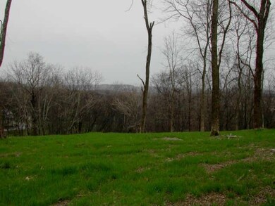 Imagine building your dream home on this level area of the lot and then having the most amazing view ever! This lot holds the best view of all the lots around. Be prepared to have your breath taken away!!!