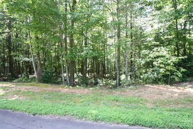 TBD Poplar Bluff Dr unit 41, Lenoir, NC 28645 - photo 3
