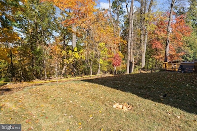 5427 3rd St S, Arlington, VA 22204 - photo 3