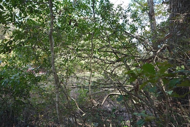 1685 N Margaret, Kirbyville, TX 75956 - photo 5