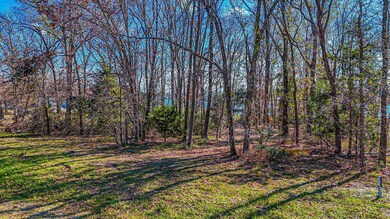 Lot 164 Clubhouse Dr, Corsicana, TX 75109 - photo 5