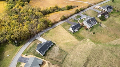 TBD Clicks Ln, New Market, VA 22844 - photo 7