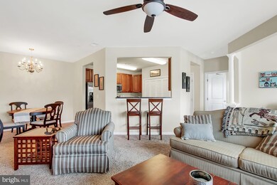 301 Lothian Way unit 204, Abingdon, MD 21009 - photo 4