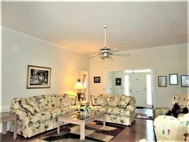 Foyer and Living Room