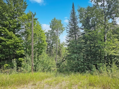 TBD Lower Ten Mile Lake Rd NW, Hackensack, MN 56452 - photo 3