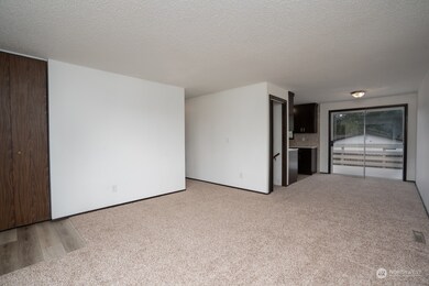 2324 Pamela Place, Steilacoom, WA 98388 - photo 6