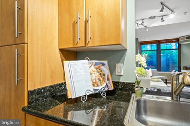 Clarendon 1021 unit B29, Arlington, VA 22201 - photo 7