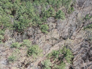 DJI_0508