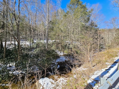 Tbd Viking Mtn Rd, Greeneville, TN 37743 - photo 4