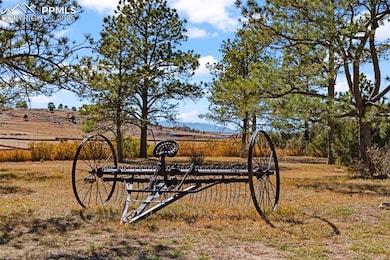 4729 County Road 106, Elbert, CO 80106 - photo 3