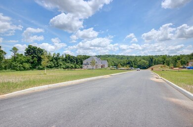 5072 Hunter Lot #10 Ln, Upper Milford Township, PA 18034 - photo 6