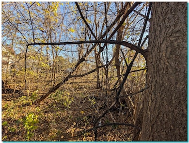 2958 N 10th Ln, Milwaukee, WI 53206 - photo 6