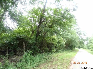 19707 County Road 234, Tyler, TX 75707 - photo 3