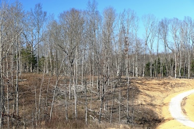 5 Oak Ridge Rd, Vanleer, TN 37181 - photo 3