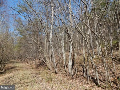 0 Highland Ridge Rd unit 1000167637, Berkeley Springs, WV 25411 - photo 7