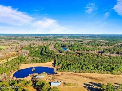 18 Weatherby Ln, Poplarville, MS 39470 - photo 5