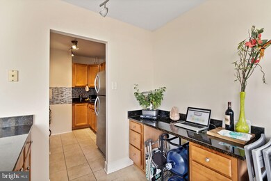 Mica Condominiums unit 1010, Silver Spring, MD 20910 - photo 6