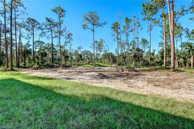 CLEARED LOT!