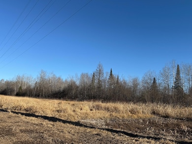 Parcel C Parameter, Deer River, MN 56636 - photo 7