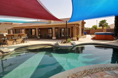 Backyard Area