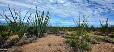 Lots 3 & 4 S Lonesome Dr unit 3, Hereford, AZ 85615 - photo 6