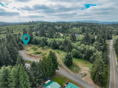 36629 King Kong Ln, Astoria, OR 97103 - photo 3