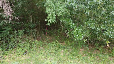 TBD ±2.9acres Grand Pines Rd, Magnolia, TX 77355 - photo 6