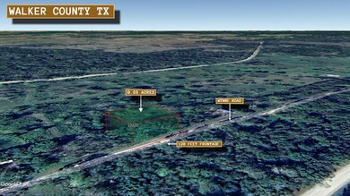 0 Wynne Rd, Trinity, TX 75862 - photo 5