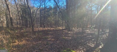 0 Avery Scroggs Rd unit 10649736, Hayesville, NC 28904 - photo 2