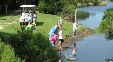 55 Pinckney Rd unit Lot 205 Pinckney Roa, Georgetown, SC 29440 - photo 7