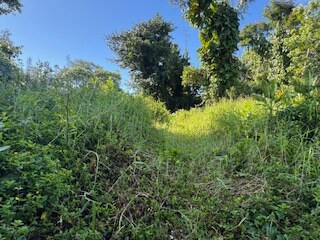 15-2714 Hou St, Hawaiian Beaches, HI 96778 - photo 2