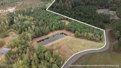 150 Hickory Pointer Way, Cameron, NC 28326 - photo 2