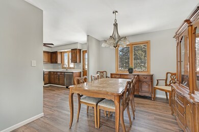 12N339 Tina Trail, Elgin, IL 60124 - photo 5