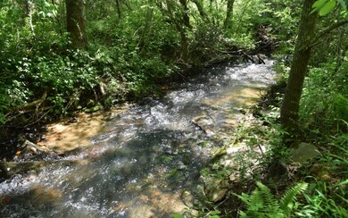 Additional View
