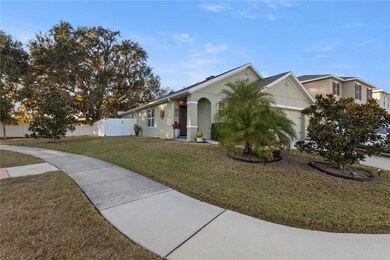 102 Cinnamon Bark Place, Valrico, FL 33594 - photo 4