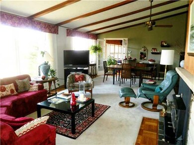 Living Room WOODBURNING FIREPLACE w/airtight  CAST