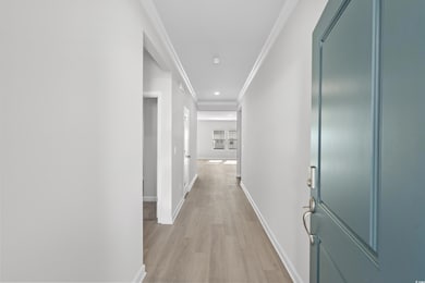 Hallway featuring ornamental molding and light har