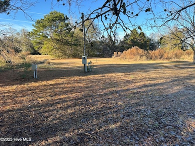 814 Luther Banks Rd, Beulaville, NC 28518 - photo 3