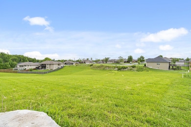 723 S Oak Terrace Dr, Nixa, MO 65714 - photo 3