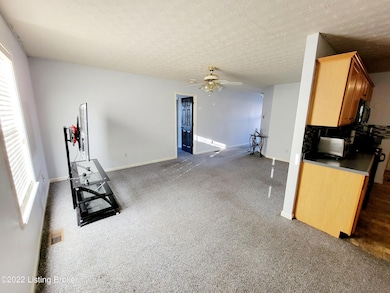 7100 Shutesbury Cir - Living Room