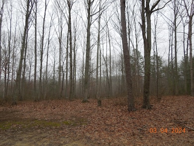 966 Cox Rd, Sequatchie, TN 37374 - photo 6