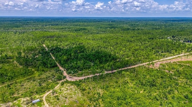 DJI_20240731121440_0082_D_HDR