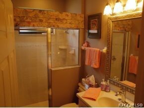 Elegant Guest Bath