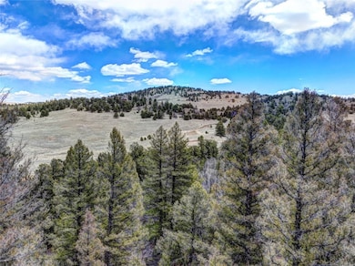 0 Galahad Way unit S1048485, Hartsel, CO 80449 - photo 3