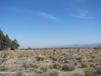 TBD Central Rd (Corner of Orange), Pearce, AZ 85625 - photo 2