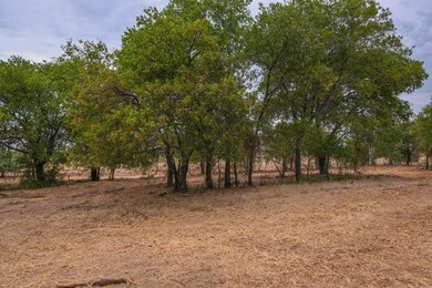 Lot 1 Pine Rd, Poolville, TX 76487 - photo 3