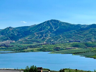 IMG_0494