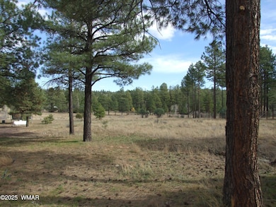 2925 Buckskin Canyon Rd, Heber-Overgaard, AZ 85928 - photo 3