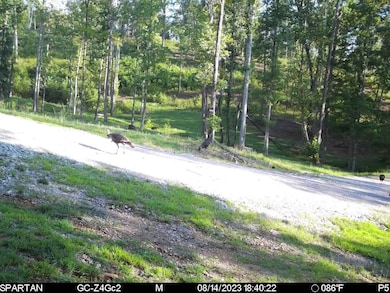 295 Falls Creek Way, Somerset, KY 42503 - photo 5