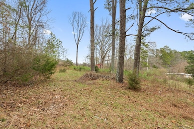 2298 Pine Grove Rd, Ringgold, GA 30736 - photo 2
